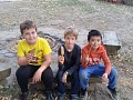 album